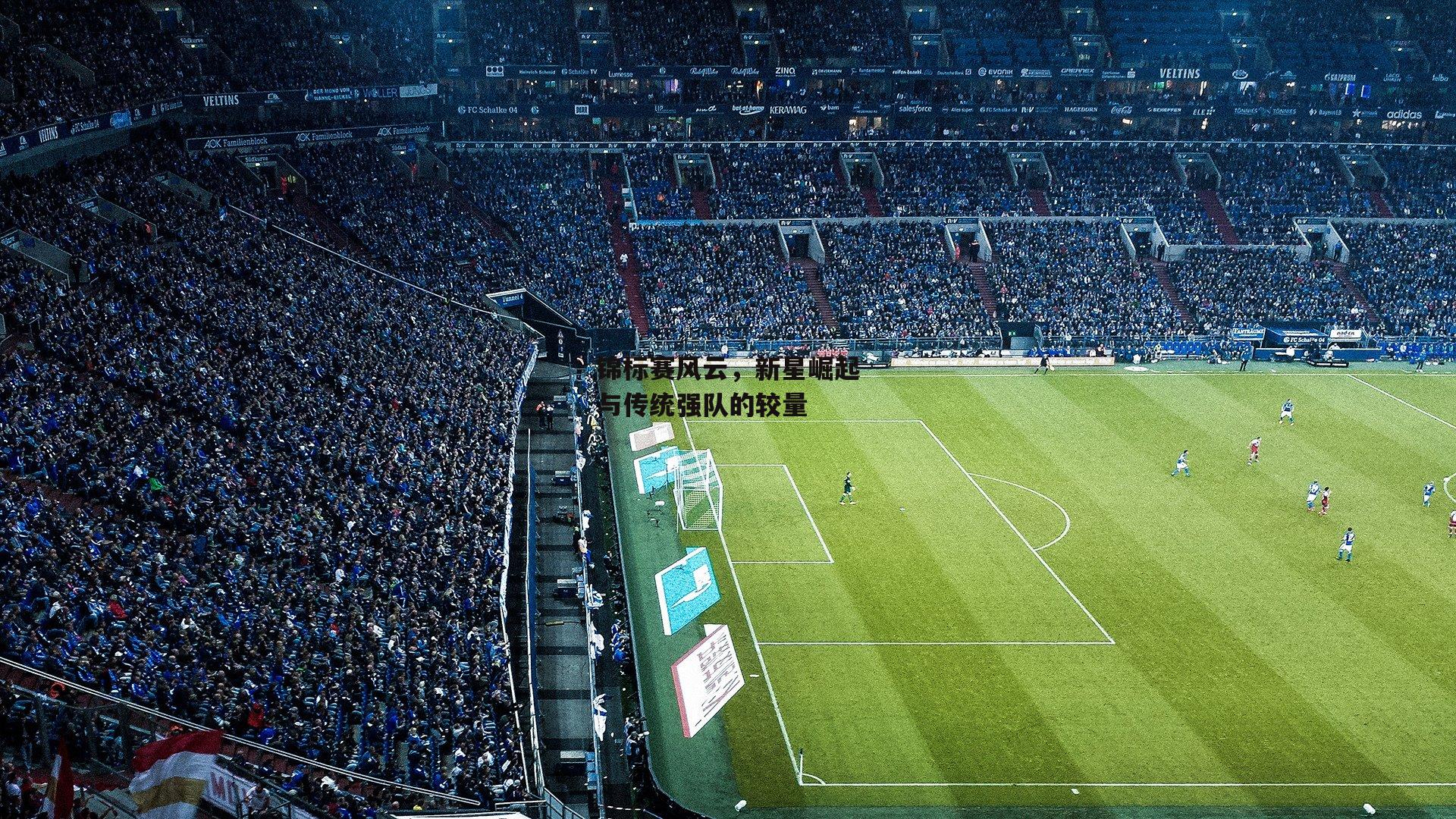 锦标赛风云，新星崛起与传统强队的较量_ng娱乐官网